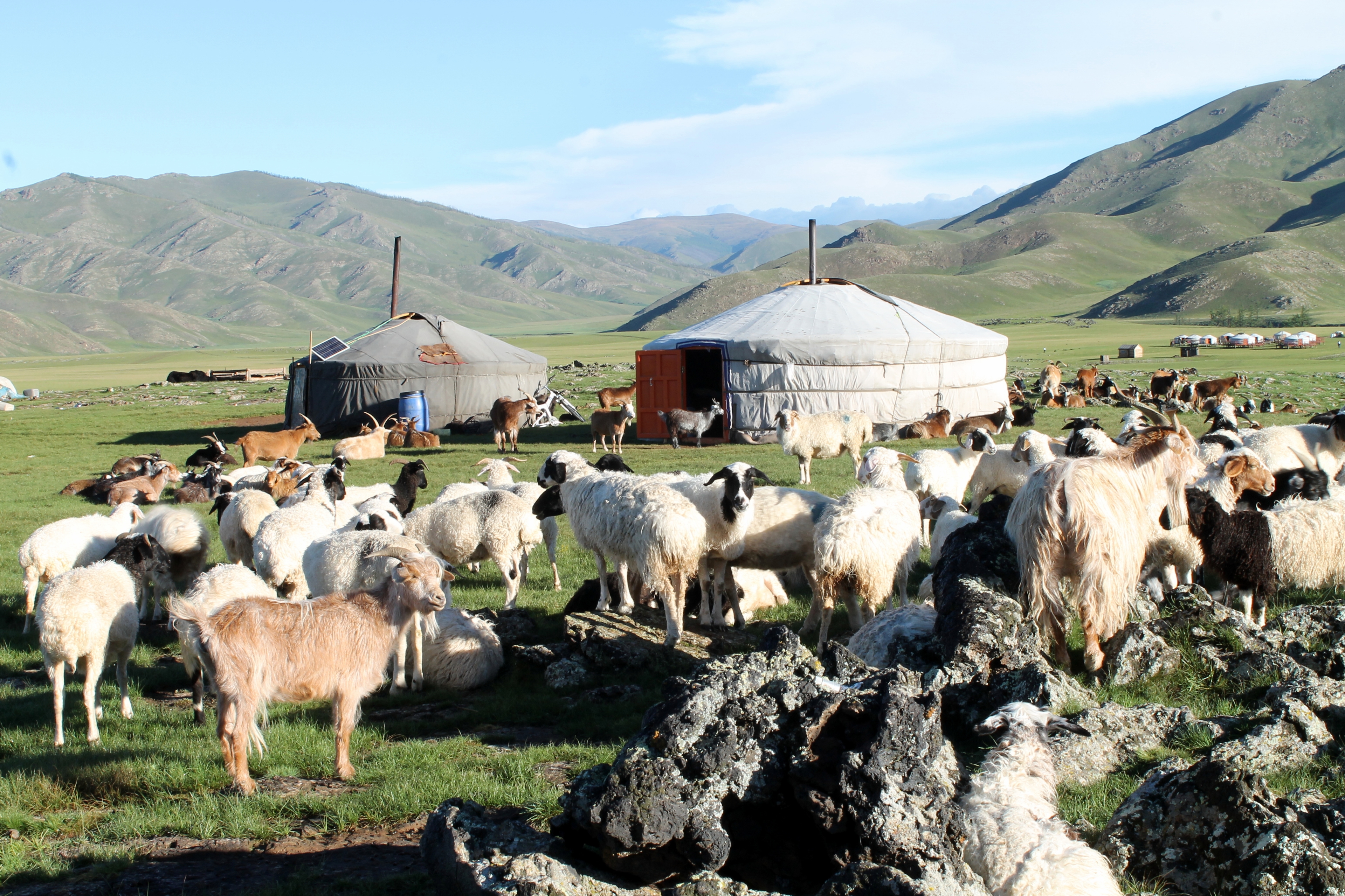 Nomadenwege zwischen Steppe und Wüste Gobi