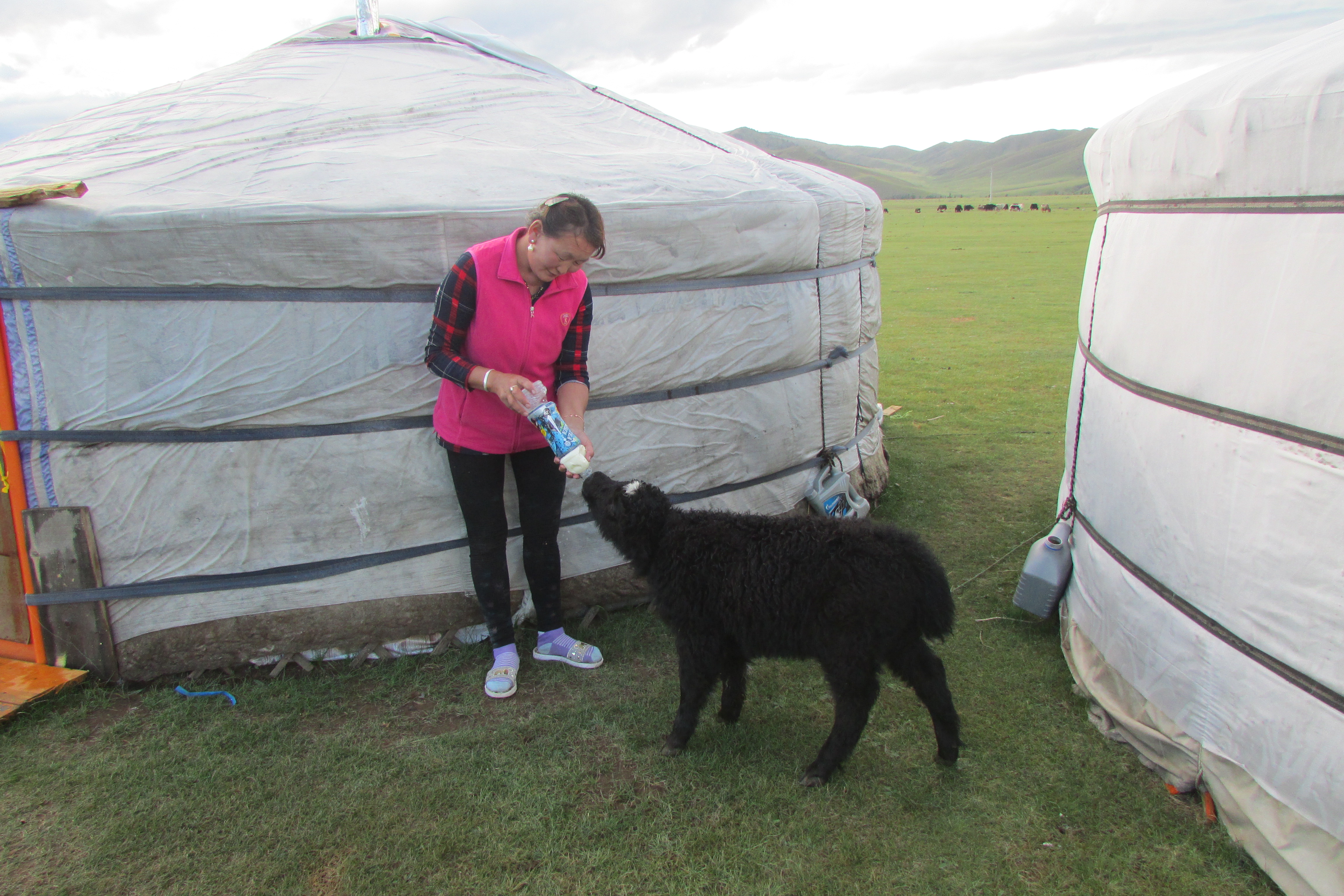 Endlose Weiten der Ostmongolei