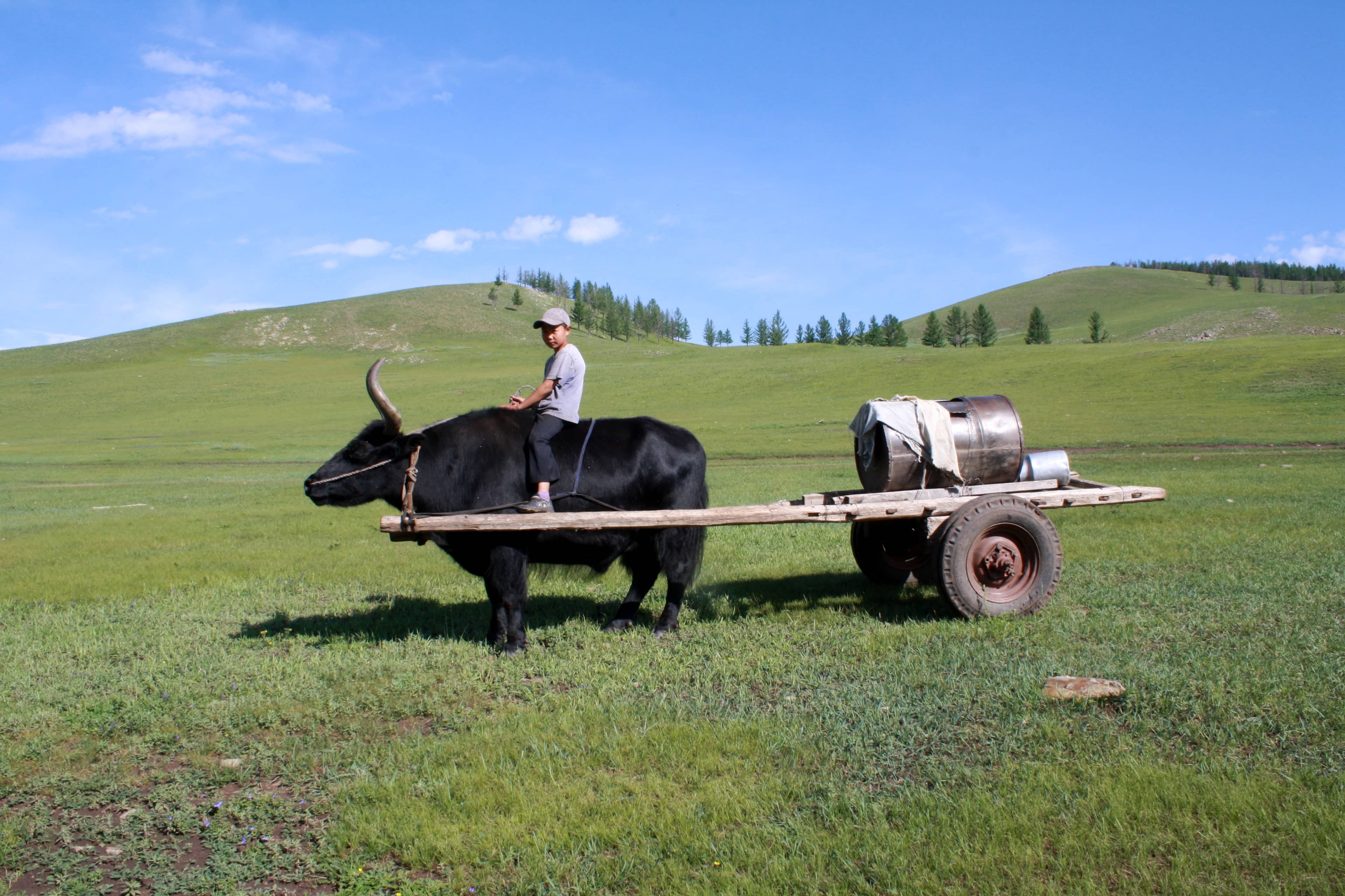 Tradition und Natur: Rundreise bis zum “Khuvsgul“- See