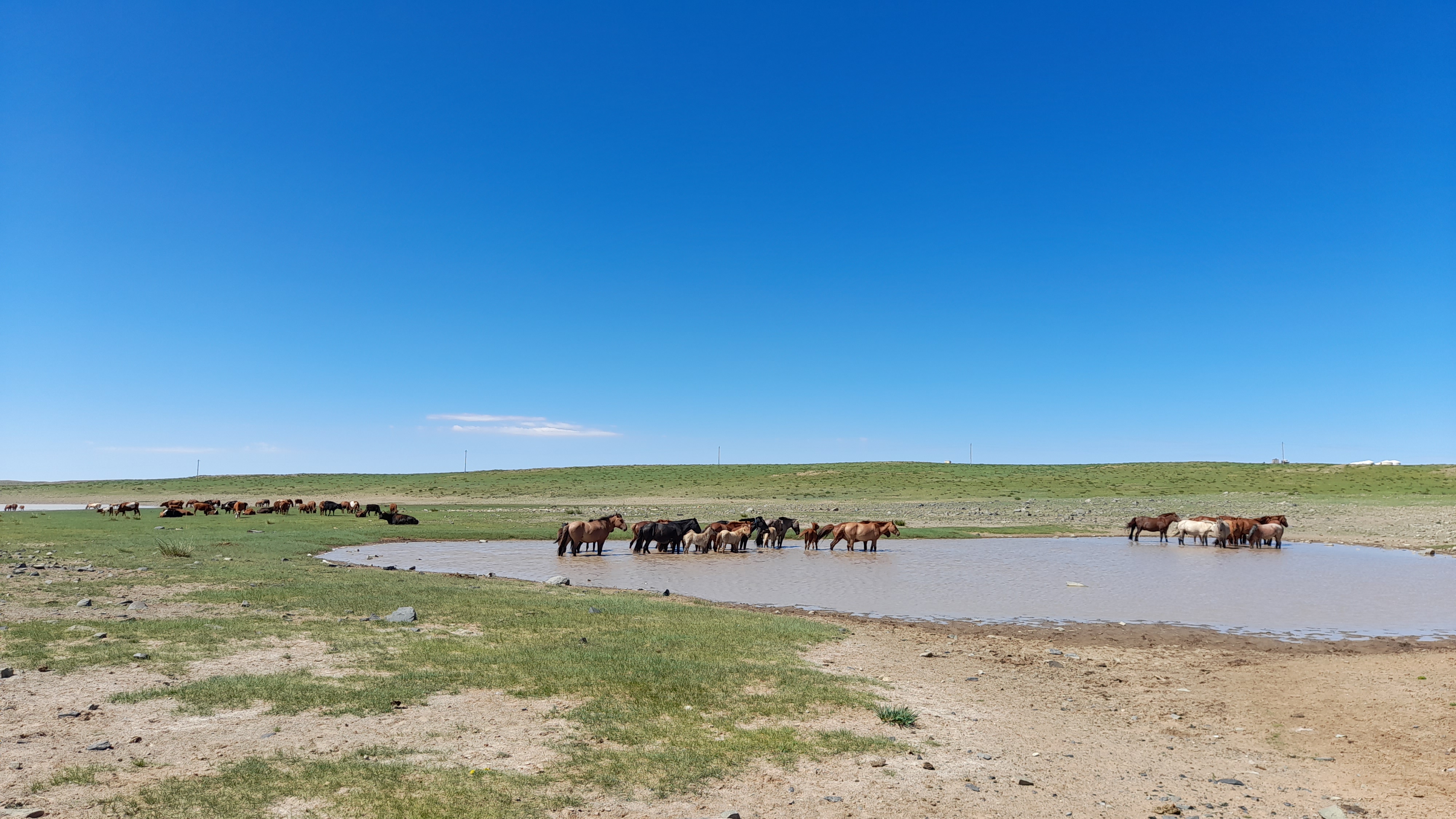 Gobi- Wüste und Khangai - Gebirge